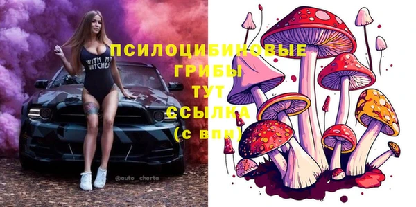 метамфетамин Алексеевка