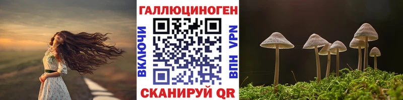 нарко площадка Telegram  Отрадная  Псилоцибиновые грибы ЛСД 